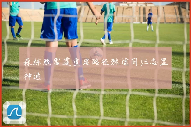 森林狼雷霆重建路径殊途同归各显神通