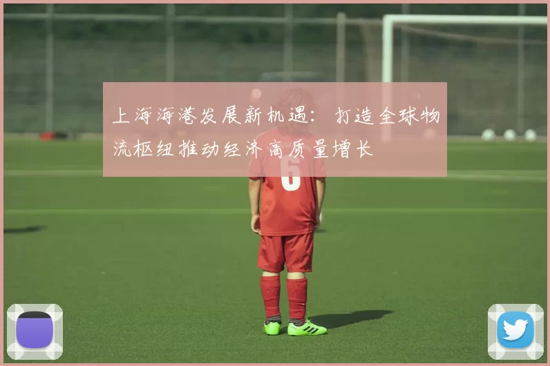 上海海港发展新机遇：打造全球物流枢纽推动经济高质量增长