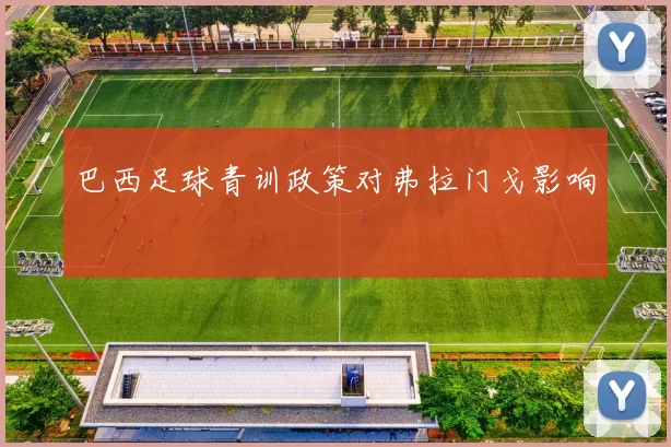 巴西足球青训政策对弗拉门戈影响