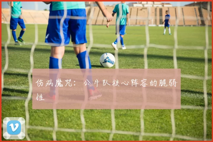 伤病魔咒：公牛队核心阵容的脆弱性