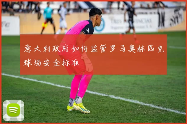 意大利政府如何监管罗马奥林匹克球场安全标准