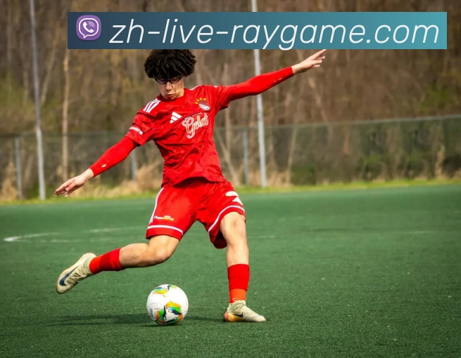 雷竞技官网发展历程