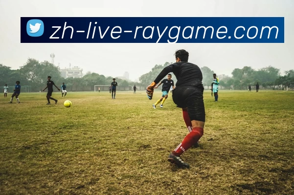 聚焦电竞产业生态发展趋势与创新赛事运营模式未来演进路径的探讨